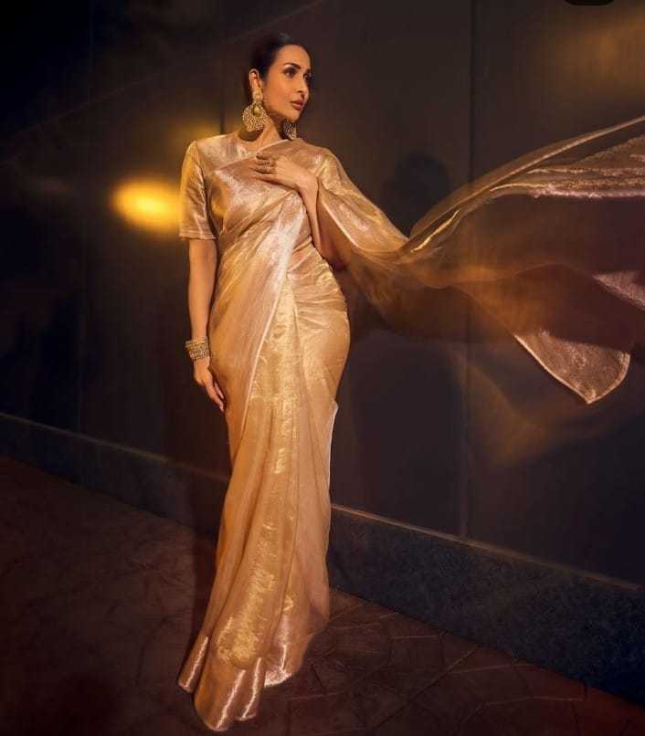 YNF TISSUE KESH131 Malaika Arora SAREES WHOLESALE TISSUE SILK MALAIKA ARORA ZARI SAREES MANUFACTURER - Deevit International