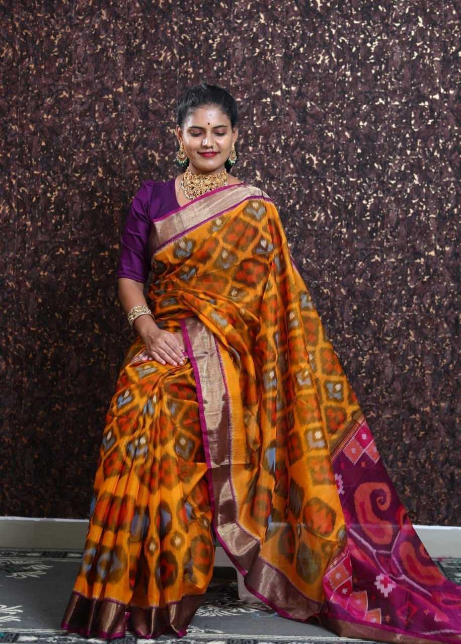 YNF PATOLA SILK RIN183 PRAMILA SILK SAREES WHOLESALE PATOLA IKKAT GOLD BORDER PRINTED SILK SAREES MANUFACTURER - Deevit International