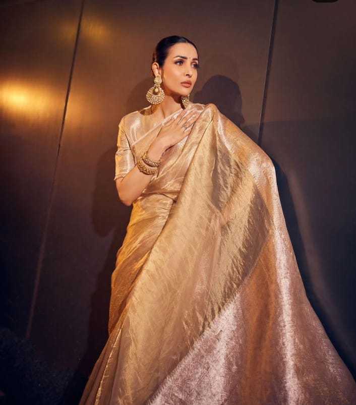 YNF TISSUE KESH131 Malaika Arora SAREES WHOLESALE TISSUE SILK MALAIKA ARORA ZARI SAREES MANUFACTURER - Deevit International