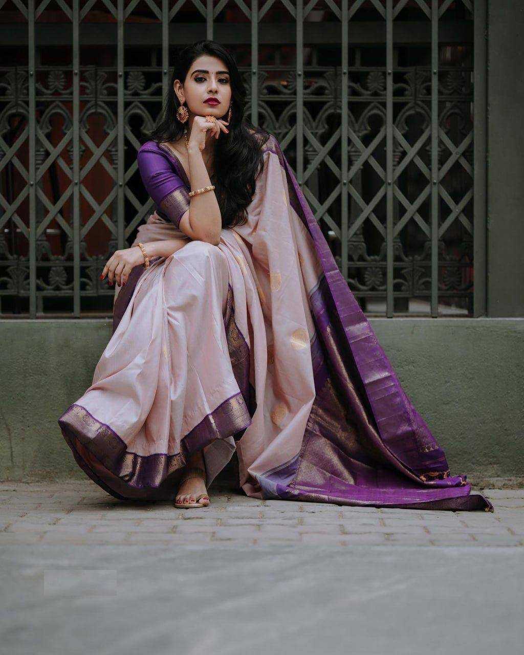 YNF LICHI SILK RIN179 775 SILK SAREES WHOLESALE BANARASI SILK ZARI BORDER SILK PURPLE SILK SAREES MANUFACTURER - Deevit International